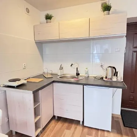 Kawalerka W Centrum Miasta 60