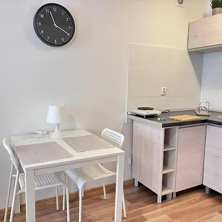 Appartement Kawalerka W Centrum Miasta 60 Łódź