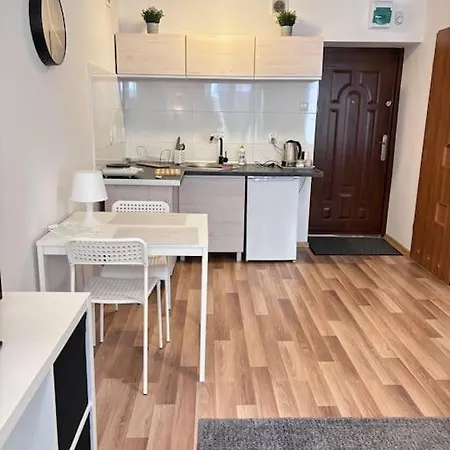 Apartament Kawalerka W Centrum Miasta 60 *