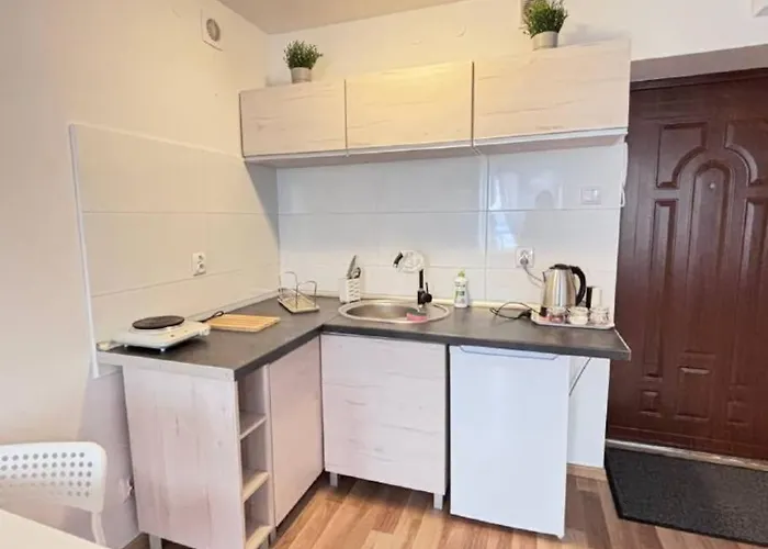 Kawalerka W Centrum Miasta 60