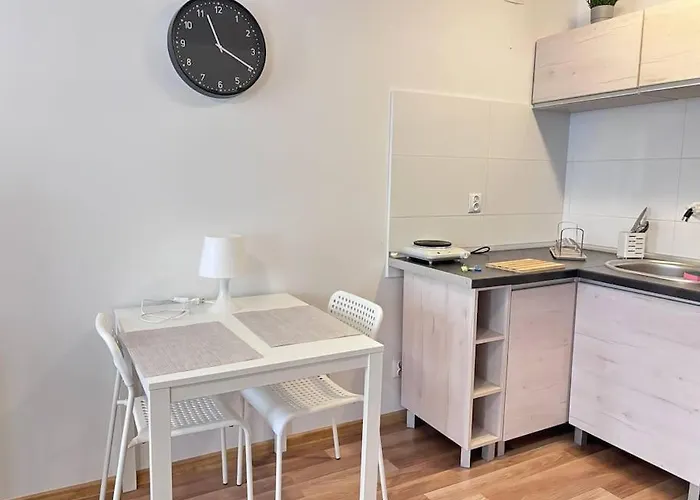 Appartement Kawalerka W Centrum Miasta 60 Łódź